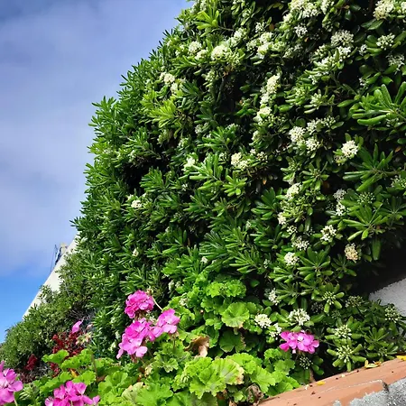 Beauty Apartamento *