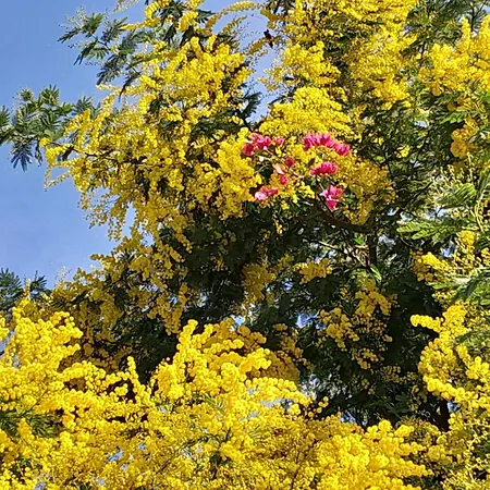 Διαμέρισμα Beauty *