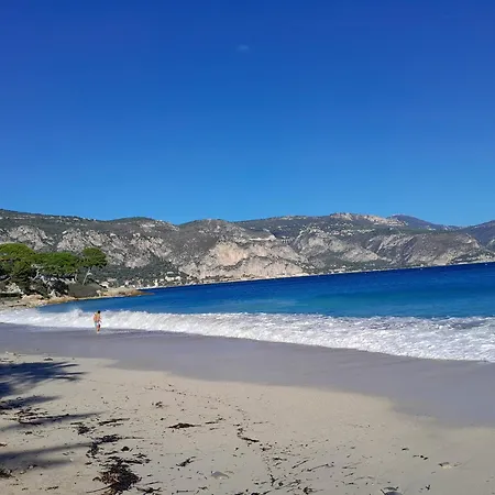 Διαμέρισμα Beauty